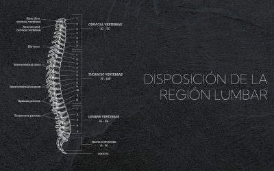 La zona lumbar no está hecha para rotar (y ahí empieza el problema)