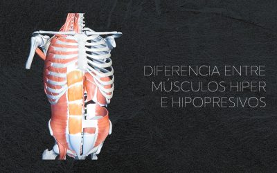 Abdominales clásicos, hipopresivos e hiperpresivos: cómo elegir bien para proteger tu zona lumbar