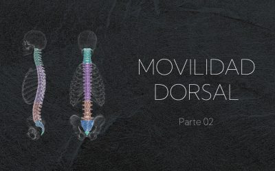 Ejercicios para movilidad dorsal: inclinación, rotación y extensión de la columna